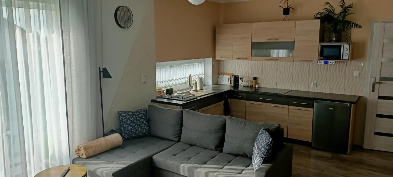 Apartamenty Modrzewiowe Tarasy Chojnice Luaran gambar